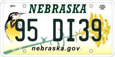 NE license plate 95DI39