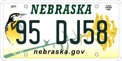 NE license plate 95DJ58