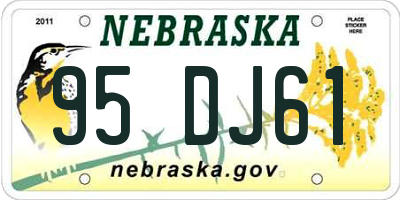 NE license plate 95DJ61