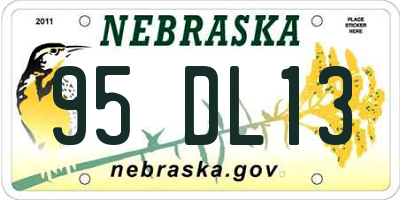 NE license plate 95DL13