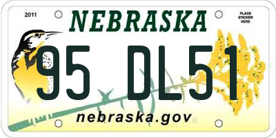 NE license plate 95DL51