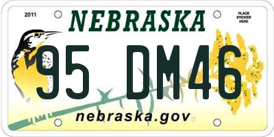 NE license plate 95DM46