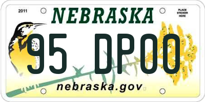NE license plate 95DP00