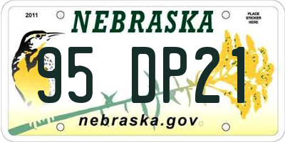 NE license plate 95DP21
