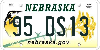 NE license plate 95DS13