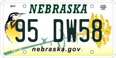NE license plate 95DW58
