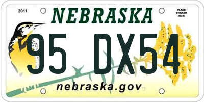 NE license plate 95DX54