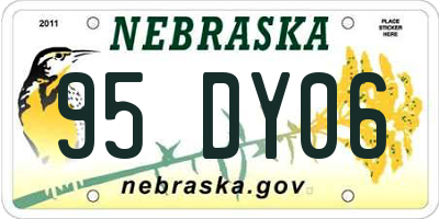 NE license plate 95DY06