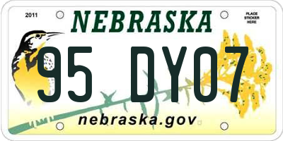 NE license plate 95DY07