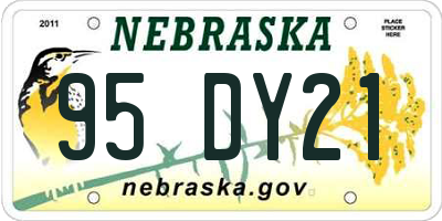 NE license plate 95DY21