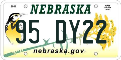 NE license plate 95DY22