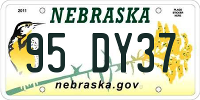 NE license plate 95DY37