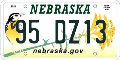 NE license plate 95DZ13