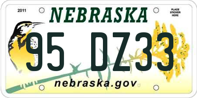 NE license plate 95DZ33