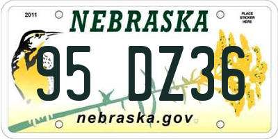 NE license plate 95DZ36