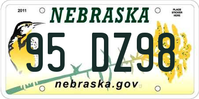 NE license plate 95DZ98