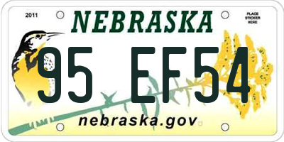 NE license plate 95EF54