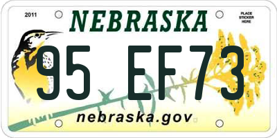 NE license plate 95EF73