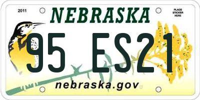 NE license plate 95ES21