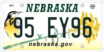 NE license plate 95EY96