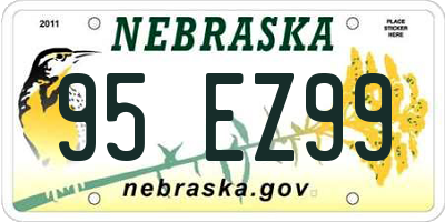 NE license plate 95EZ99
