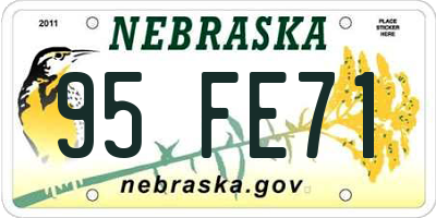 NE license plate 95FE71
