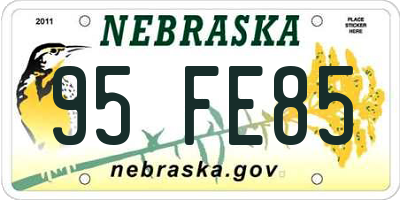 NE license plate 95FE85