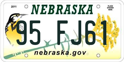NE license plate 95FJ61