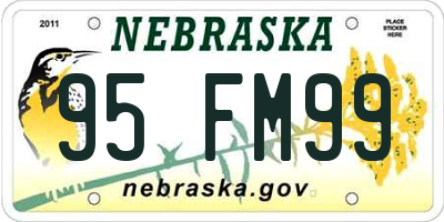 NE license plate 95FM99