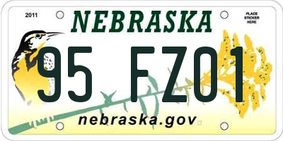 NE license plate 95FZ01