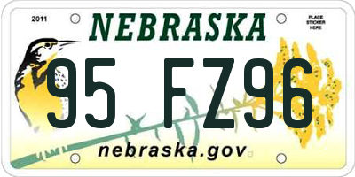 NE license plate 95FZ96