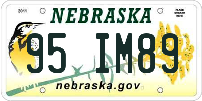NE license plate 95IM89