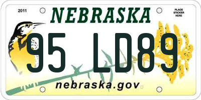 NE license plate 95LD89
