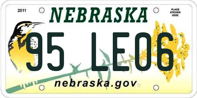 NE license plate 95LE06
