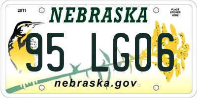NE license plate 95LG06