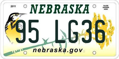 NE license plate 95LG36