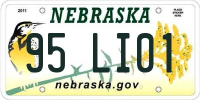 NE license plate 95LI01