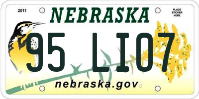 NE license plate 95LI07