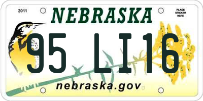 NE license plate 95LI16