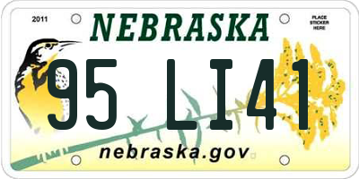 NE license plate 95LI41