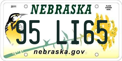 NE license plate 95LI65