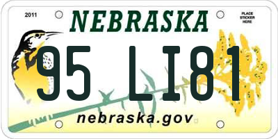 NE license plate 95LI81