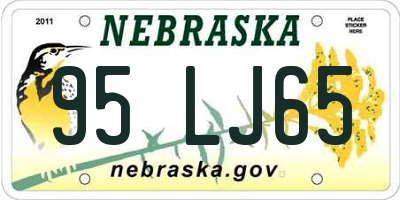 NE license plate 95LJ65