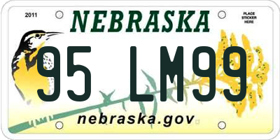 NE license plate 95LM99