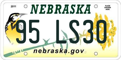 NE license plate 95LS30