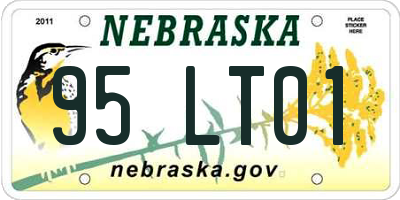 NE license plate 95LT01