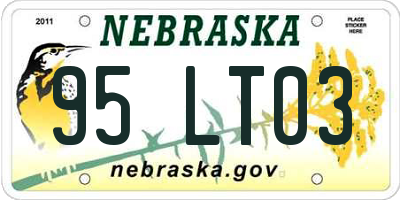 NE license plate 95LT03