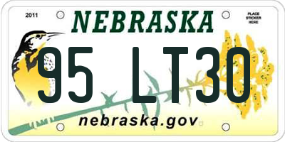 NE license plate 95LT30