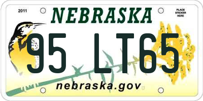NE license plate 95LT65