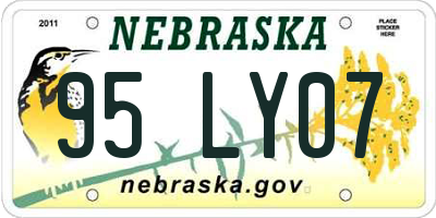 NE license plate 95LY07